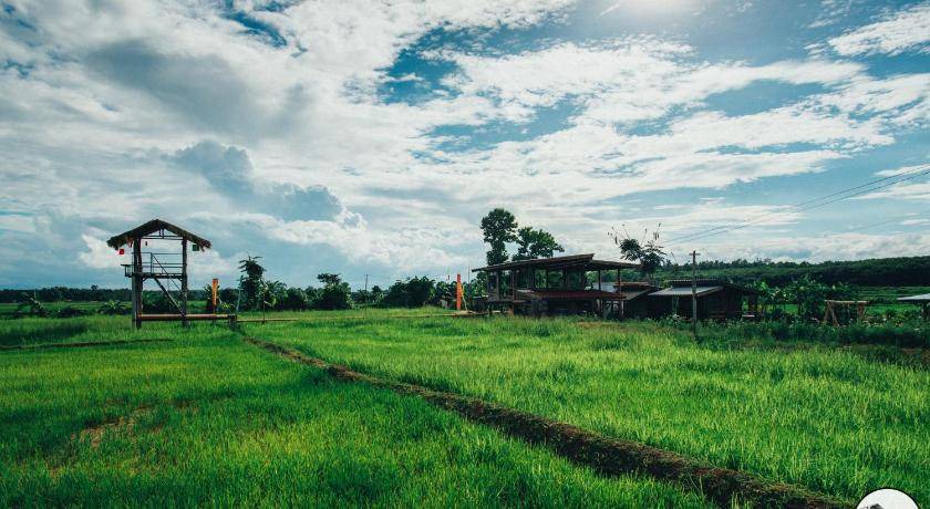 Photo of Others in K. Phu Pieng