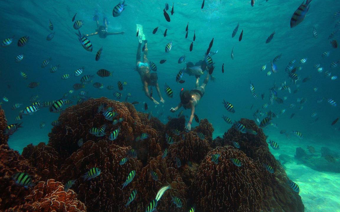 Photo of Others in Koh Wai