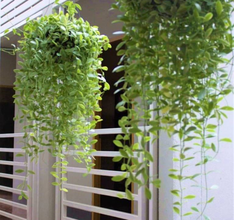 Photo of Patio Balcony in Old City
