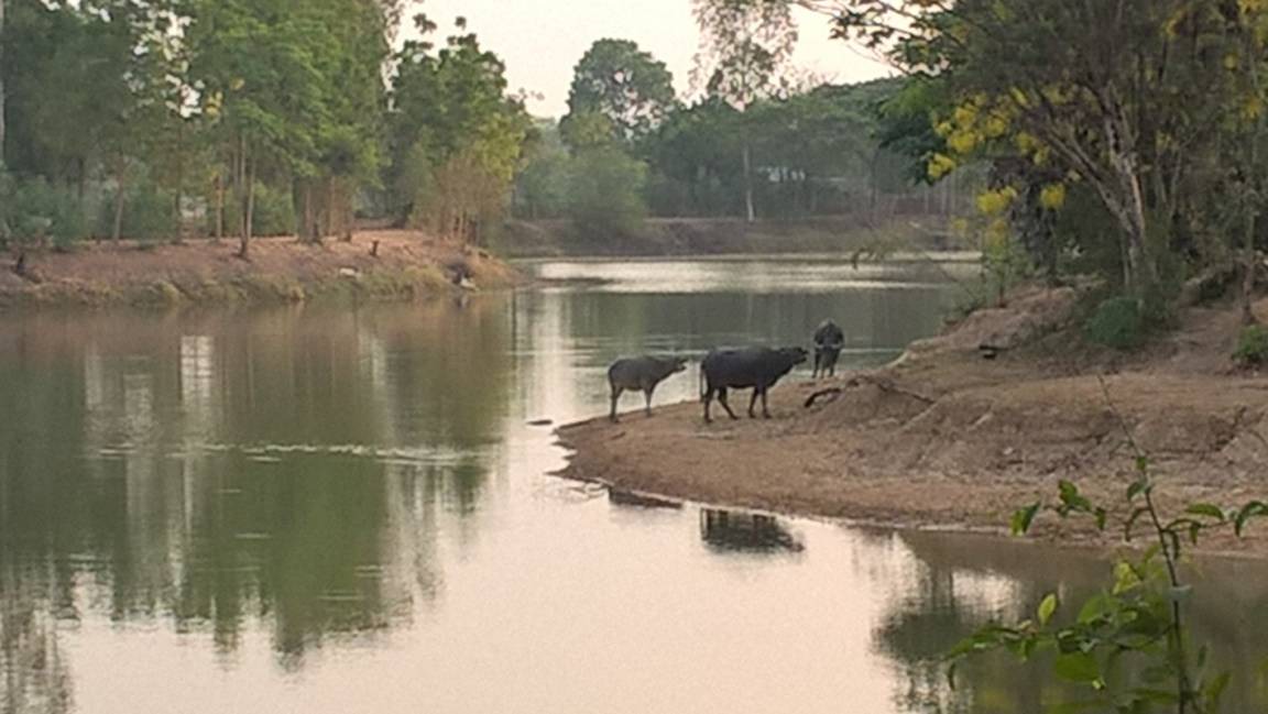Photo of Others in Prang Ku