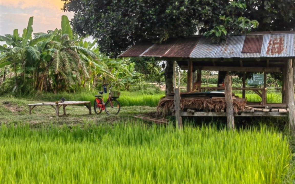 Photo of Others in Na Noi