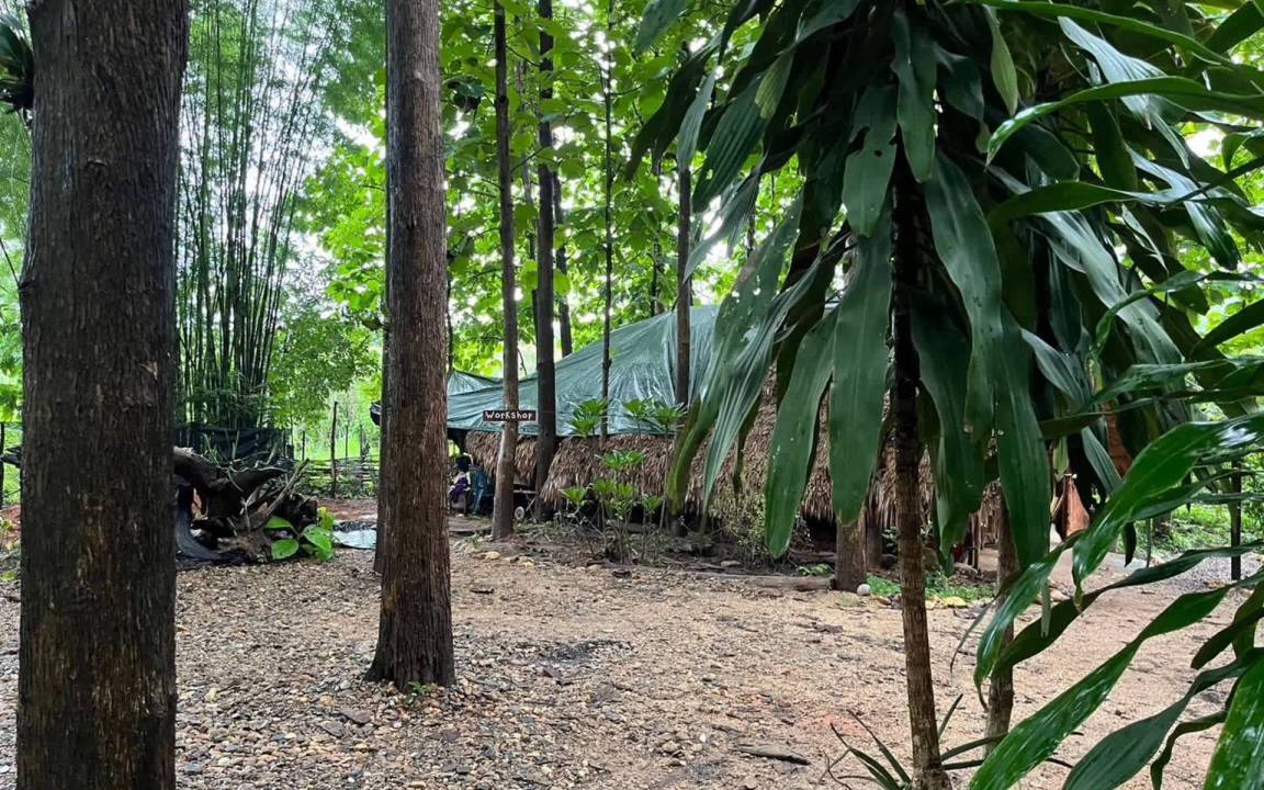 Photo of Others in Pai