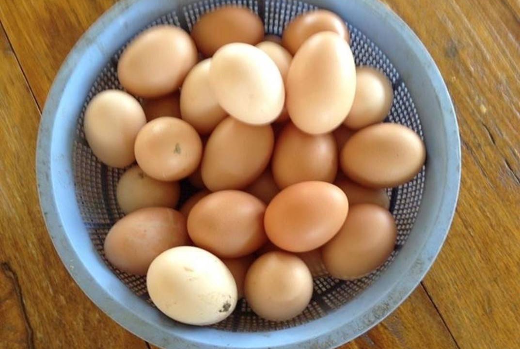 Photo of Others in Wang Thong