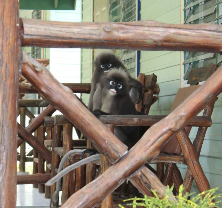 Photo of Others in Krabi