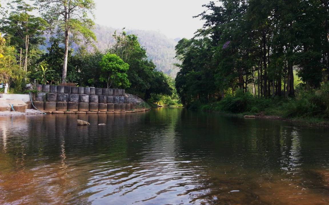 Photo of Others in Thong Pha Phum