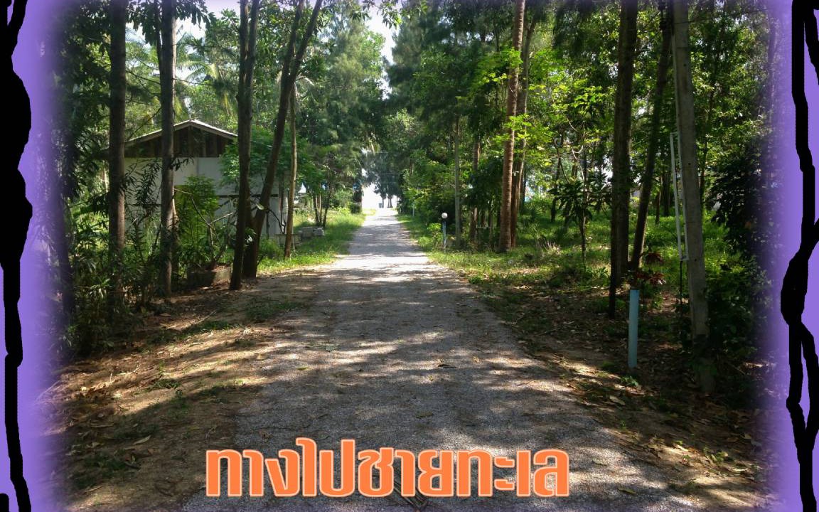 Photo of Others in Thong Chai