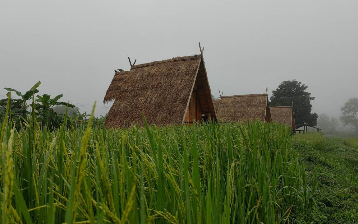 Photo of Others in Na Noi