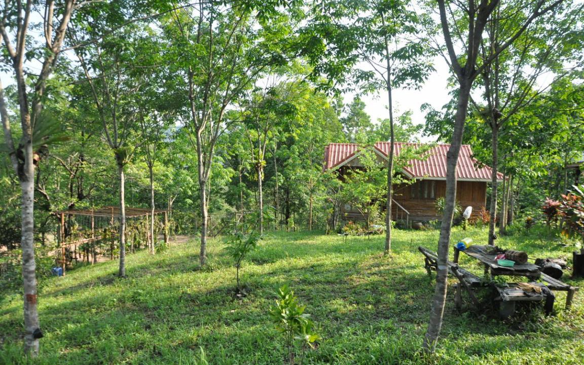 Photo of Others in Makham