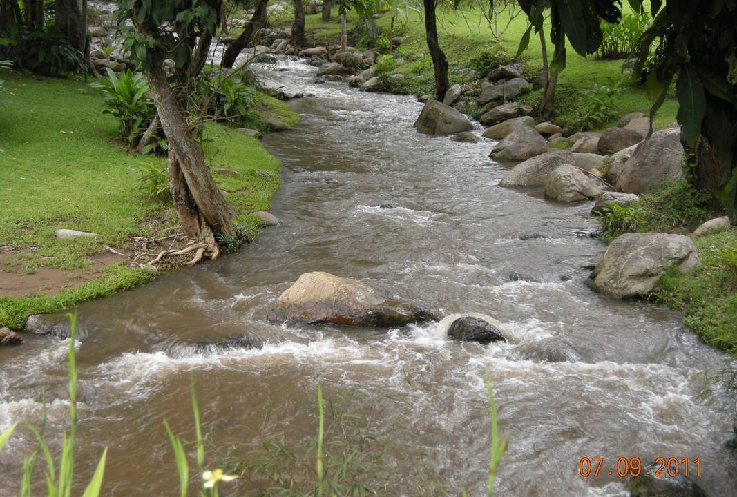Photo of Others in Chiang Mai