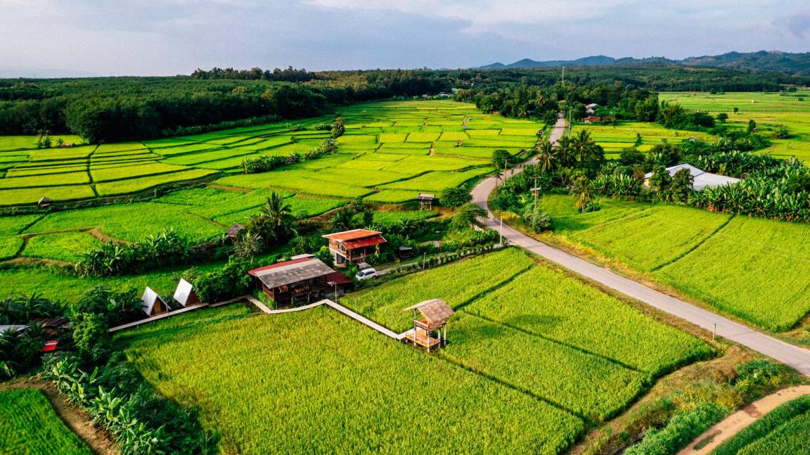 Photo of Others in K. Phu Pieng