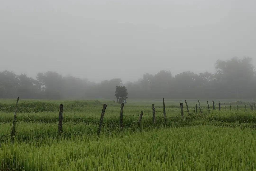 Photo of Others in Na Noi