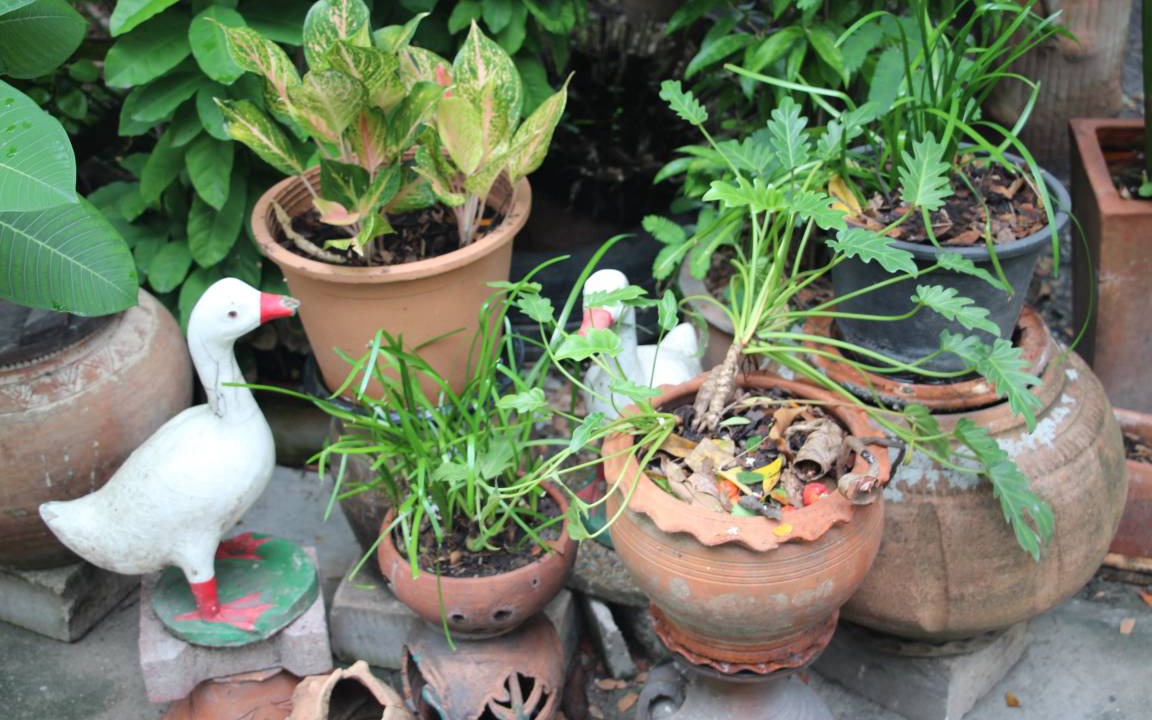 Photo of Others in Lat Krabang