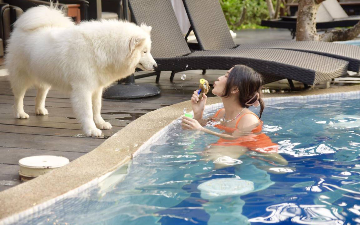 Photo of Others in Rayong