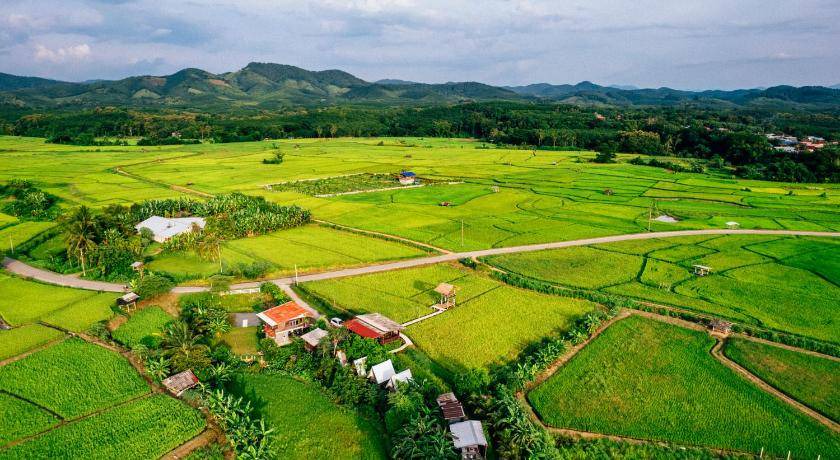 Photo of Others in K. Phu Pieng
