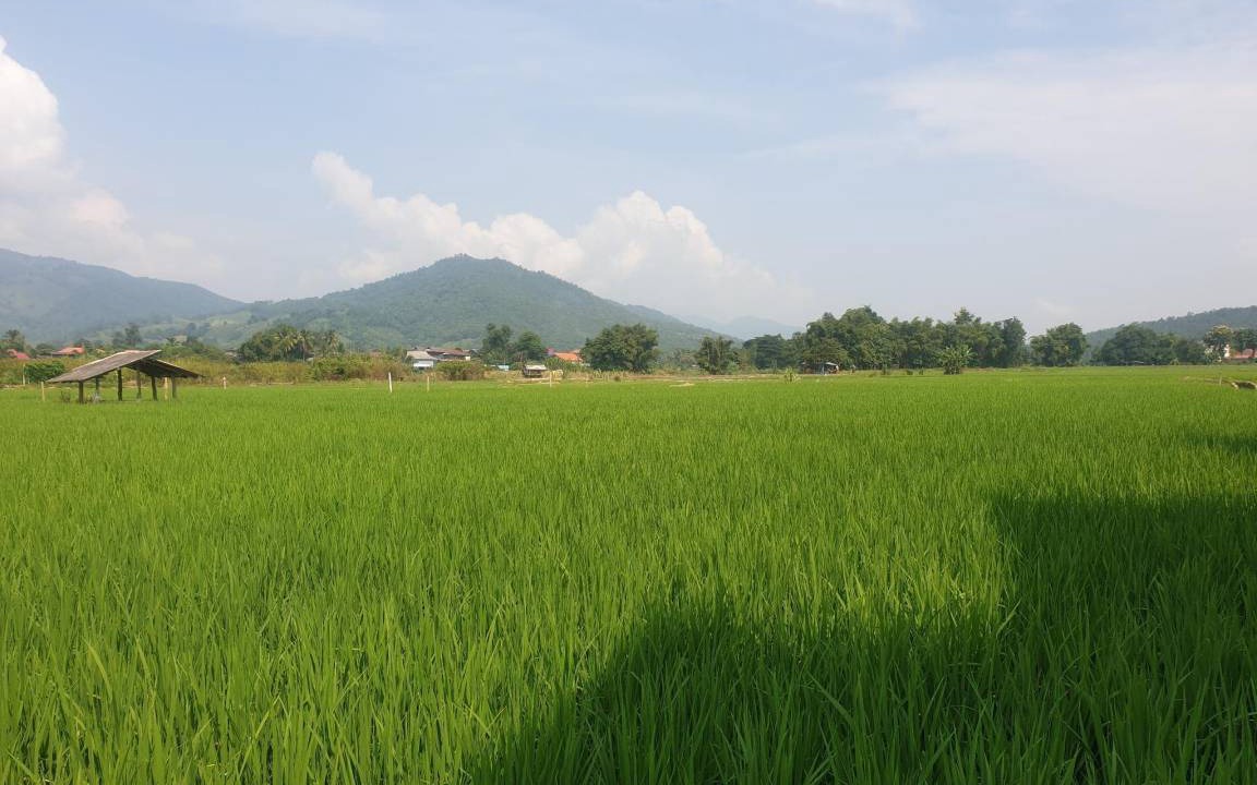 Photo of Others in Mae Chaem