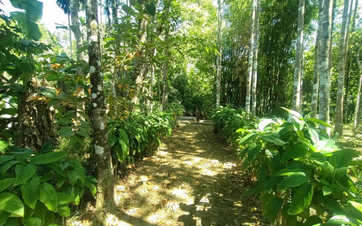 Photo of Others in Koh Chang Tai
