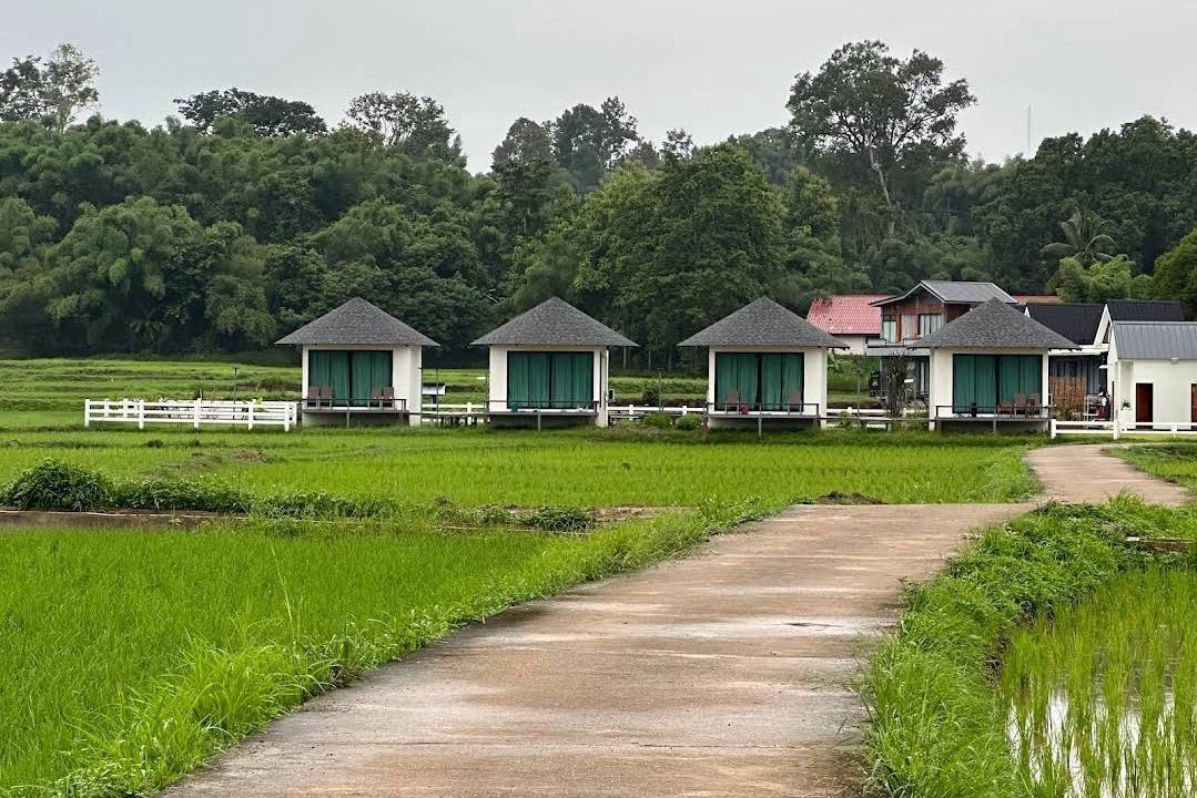 Photo of Others in Pua