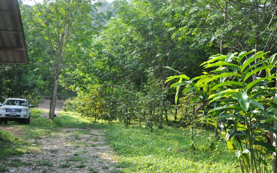 Photo of Others in Makham