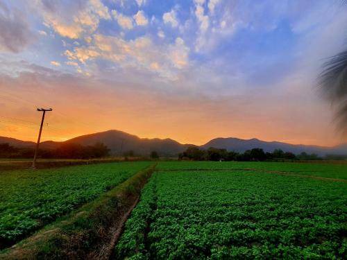 Photo of Others in Phrao