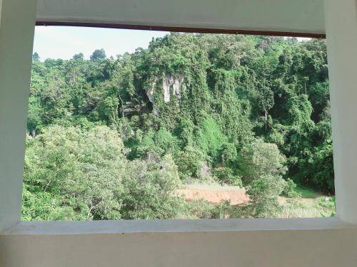 Photo of Others in Krabi
