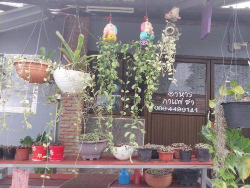 Photo of Others in K. Phu Pieng