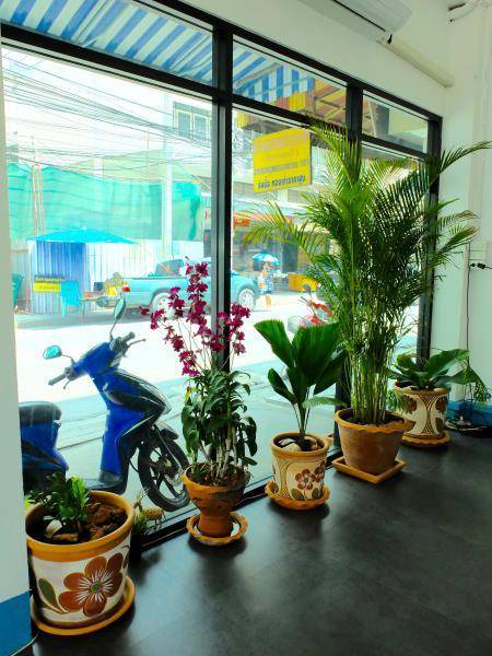 Photo of Others in Don Muang