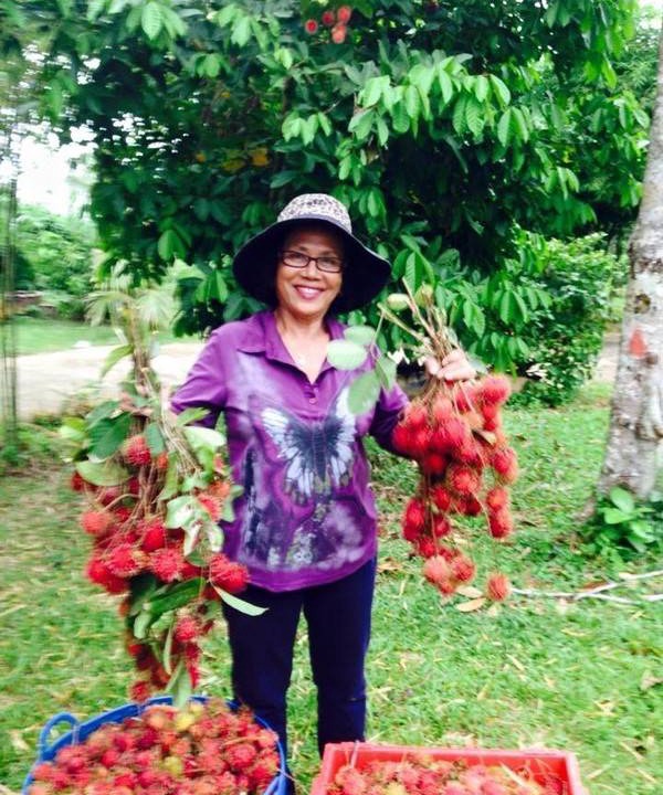 Photo of Others in Makham Tia