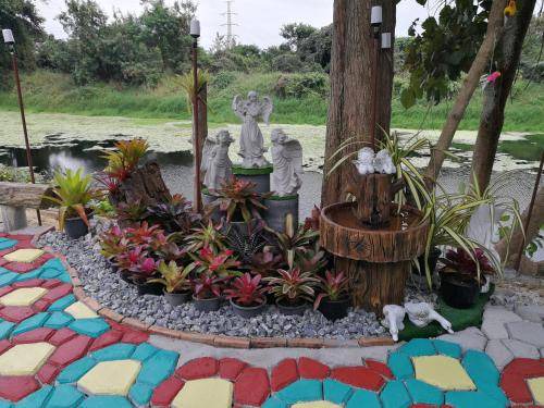 Photo of Others in Lamphun