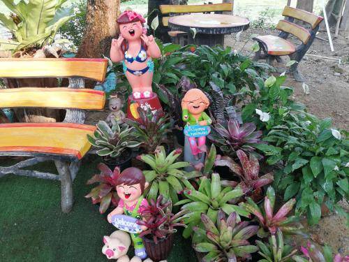 Photo of Others in Lamphun