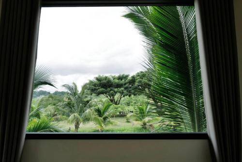 Photo of Others in Khao Kho