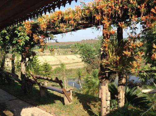 Photo of Others in Phu Ruea
