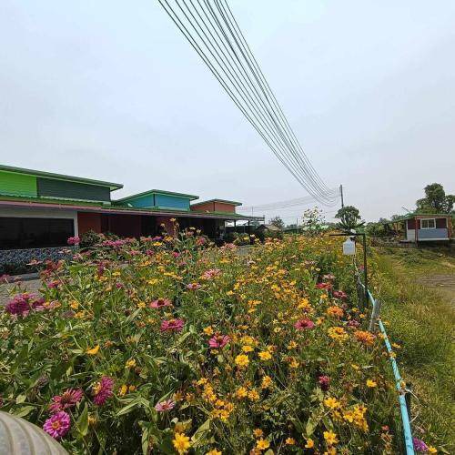 Photo of Others in Buriram