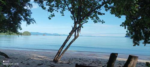 Photo of Others in Ranong
