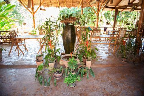 Photo of Others in Mae Chaem