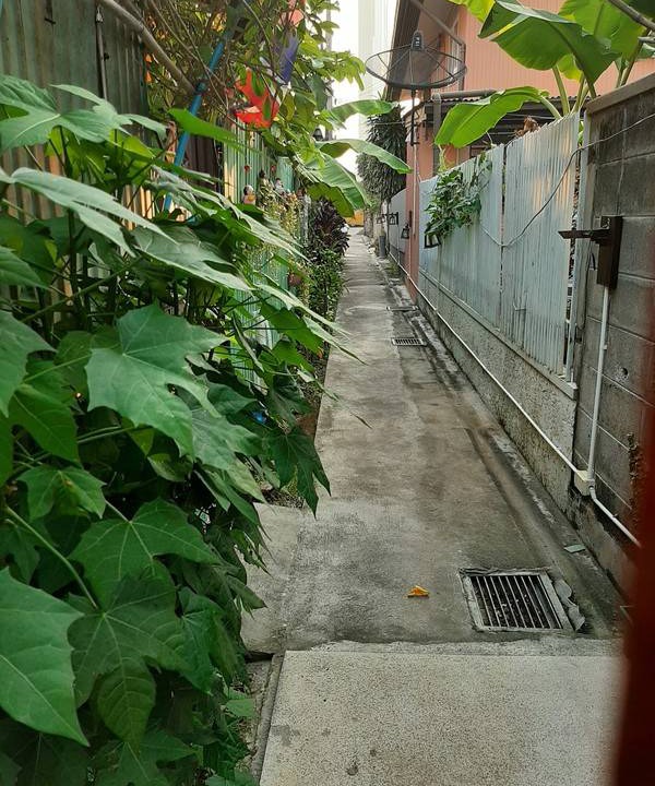 Photo of Others in Thon Buri