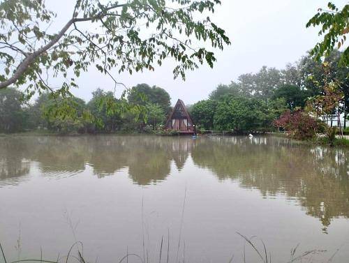 Photo of Others in Dok Khamtai