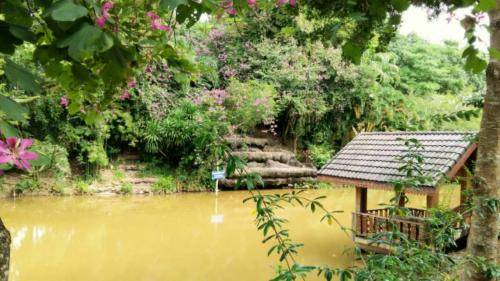 Photo of Others in Phu Ruea