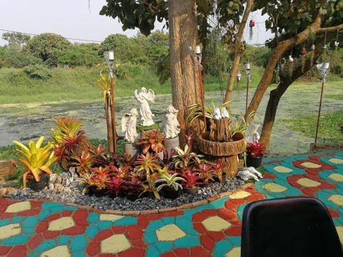 Photo of Others in Lamphun