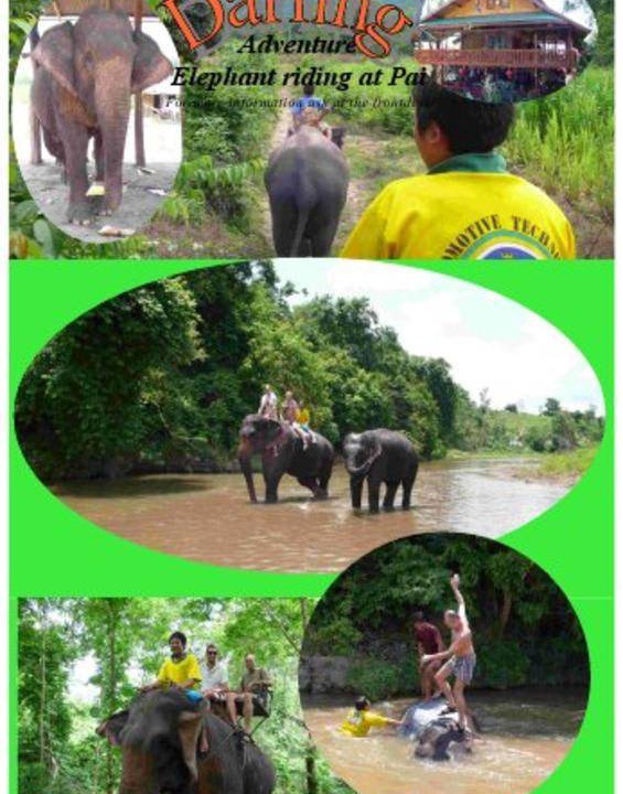 Photo of Others in Pai