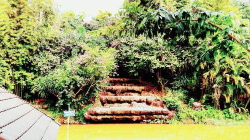 Photo of Others in Phu Ruea