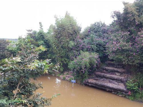 Photo of Others in Phu Ruea