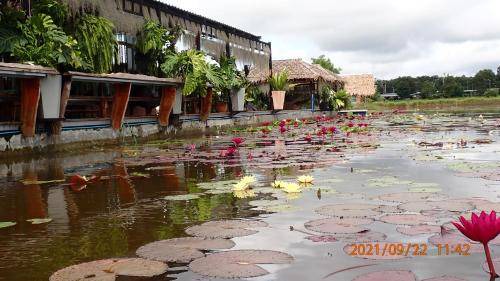 Photo of Others in Khao Suan Kwang