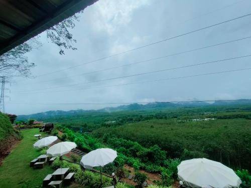 Photo of Others in Phangnga
