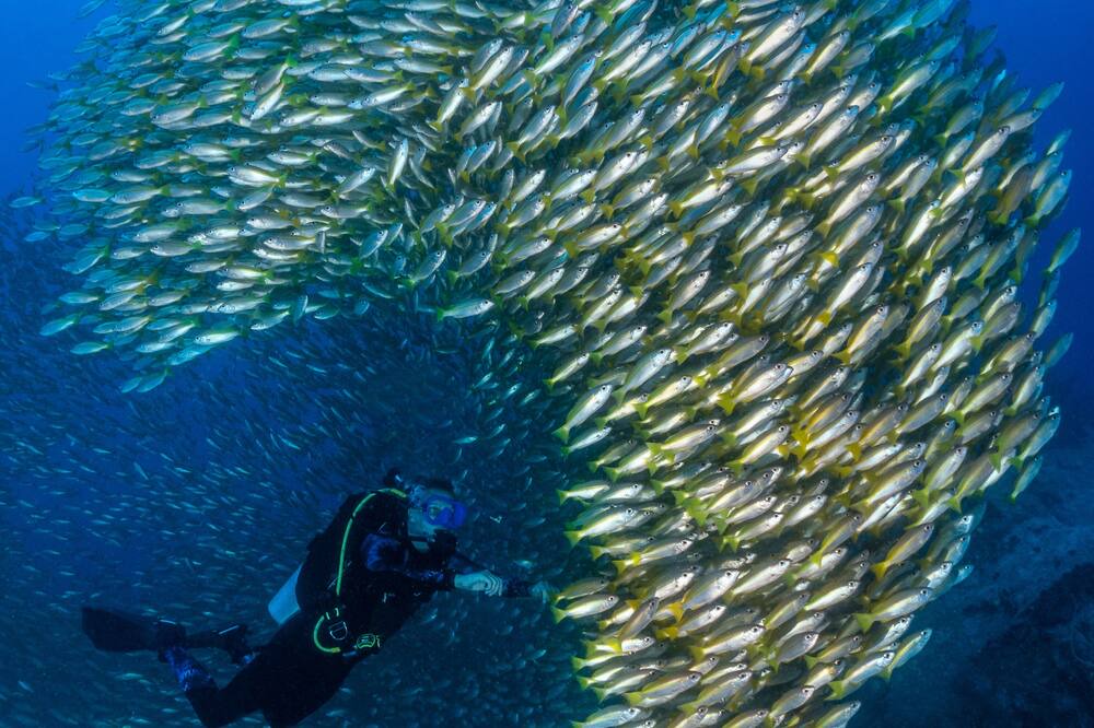 Photo of Others in Koh Tao