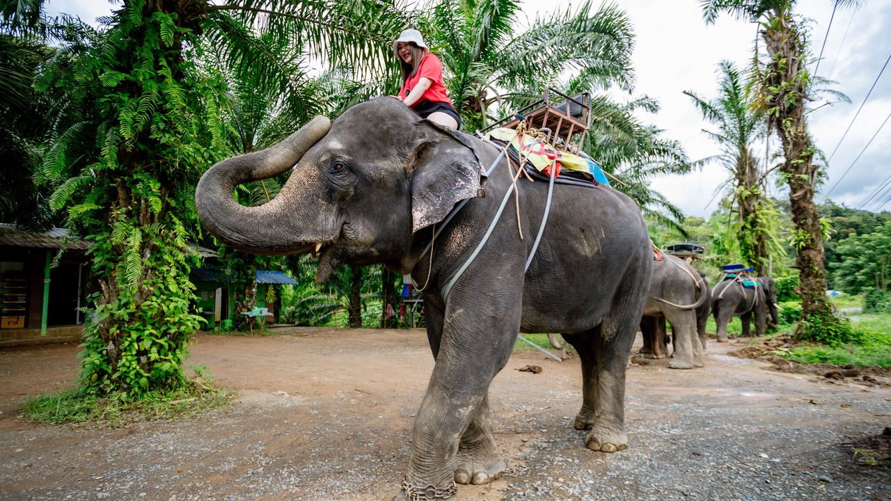 Photo of Others in Phang Nga