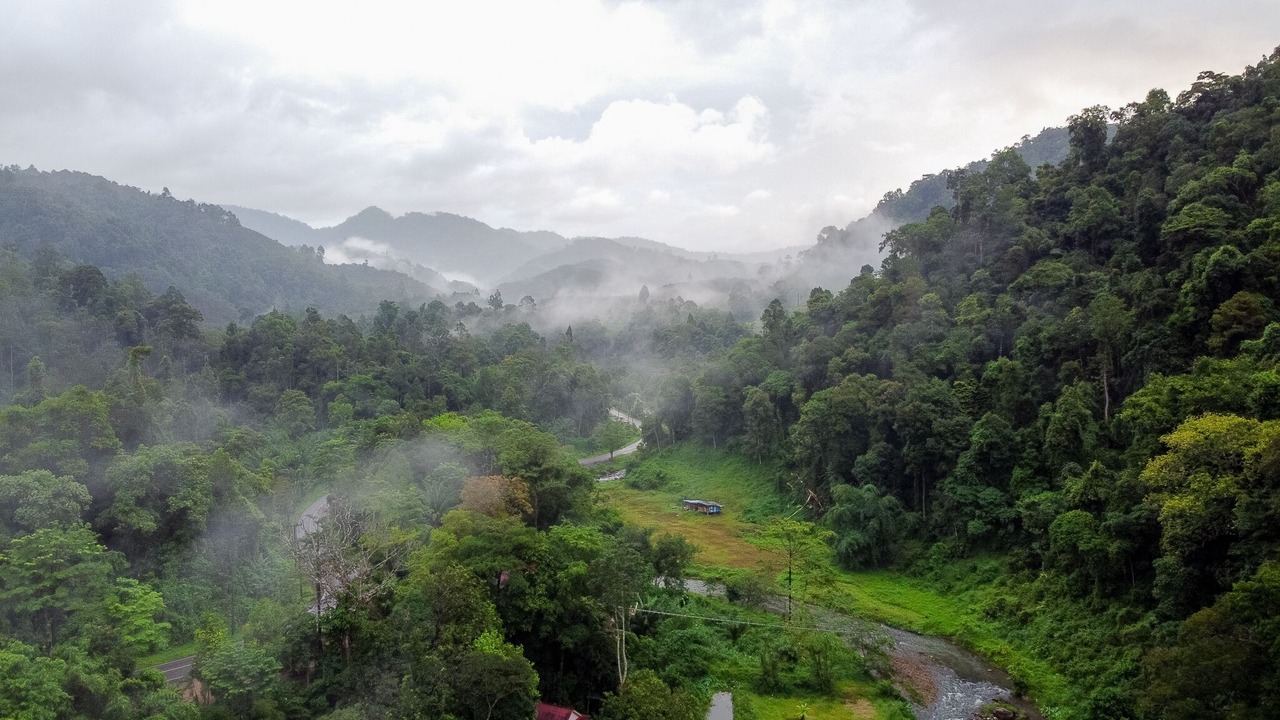 Photo of Others in Phang Nga