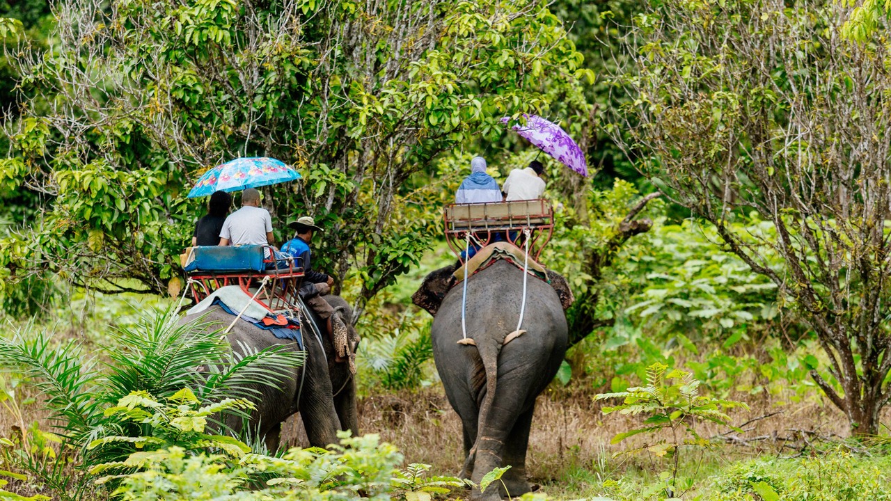 Photo of Others in Phang Nga