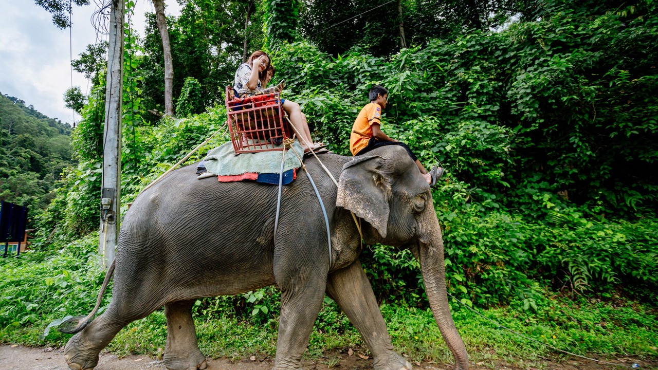 Photo of Others in Phang Nga