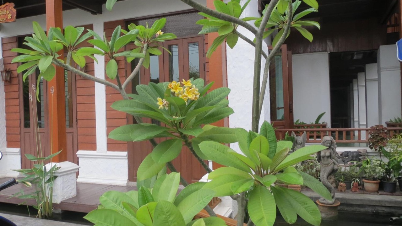 Photo of Outdoor in Wua Lai