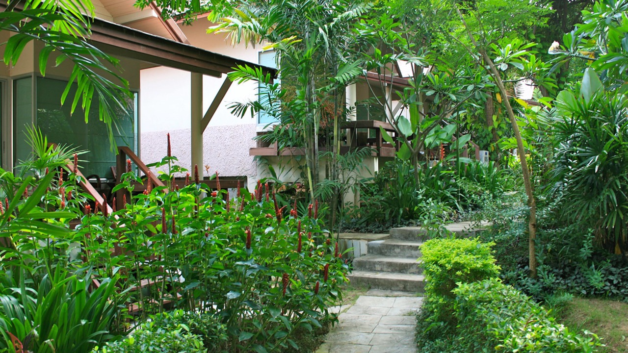 Photo of Outdoor in Baan Tai
